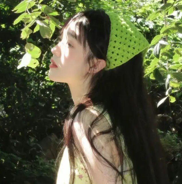 中国之役